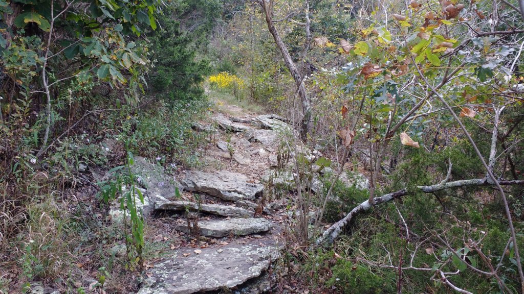 img_20170924_125931342.jpg