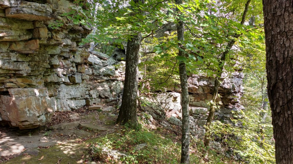 img_20170924_132037374_hdr.jpg