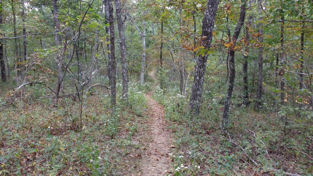img_20170924_133509804.jpg