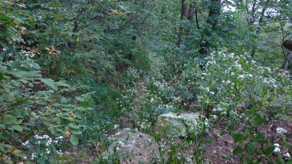 img_20170924_135628230.jpg