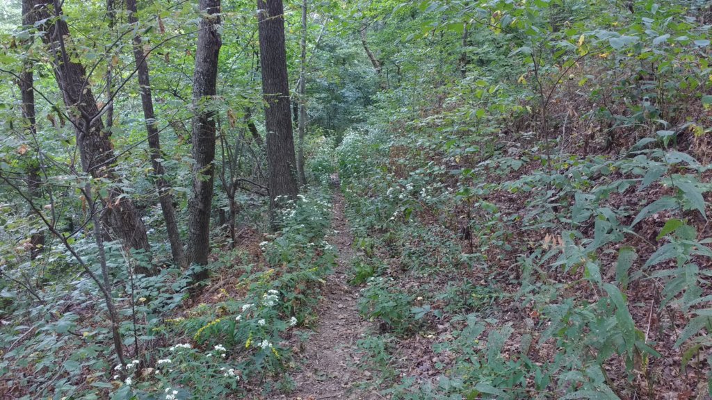 img_20170924_140649531.jpg