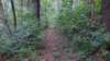 img_20170924_140941691_small.jpg
