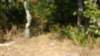img_20170924_143620116_small.jpg