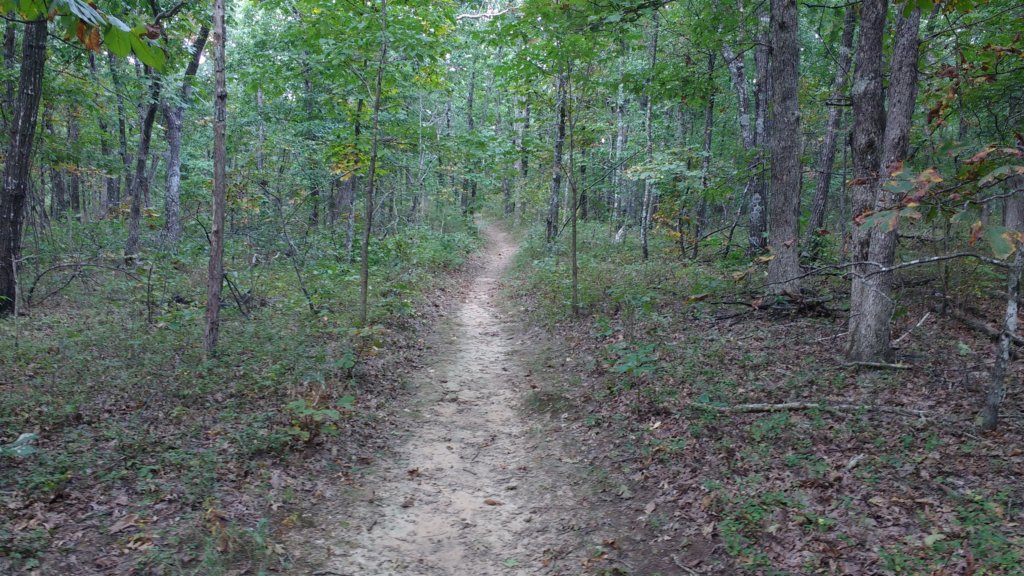 img_20170924_152659134.jpg