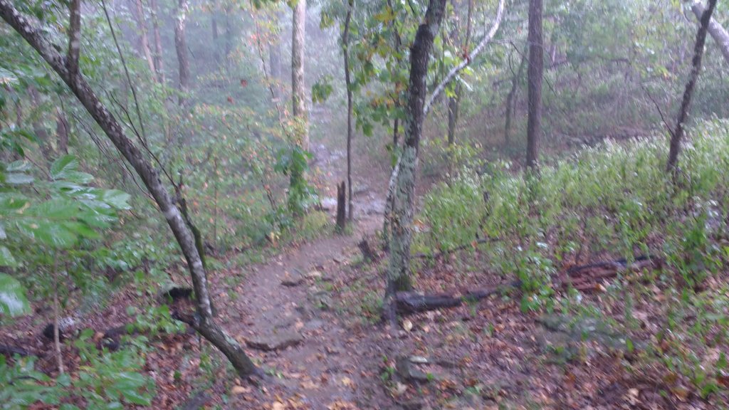 img_20170924_154639257.jpg