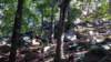 img_20170819_110745344_small.jpg