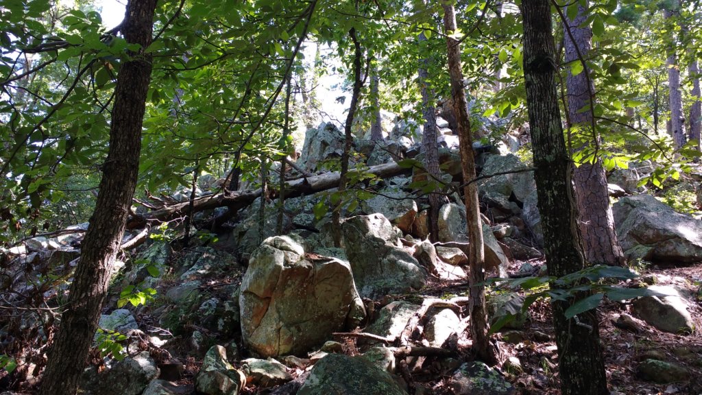 img_20170819_110759825.jpg