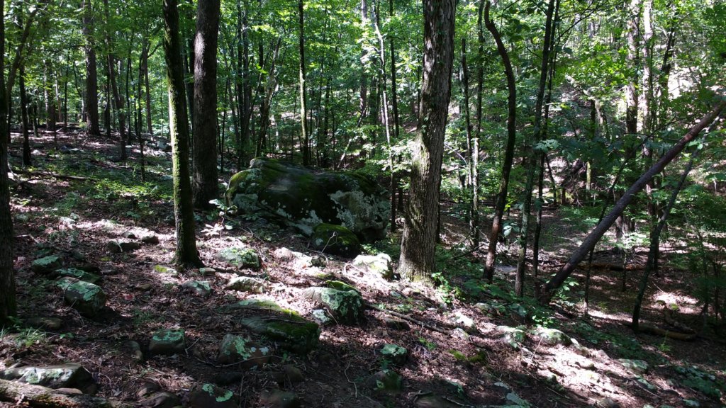 img_20170819_111206359.jpg