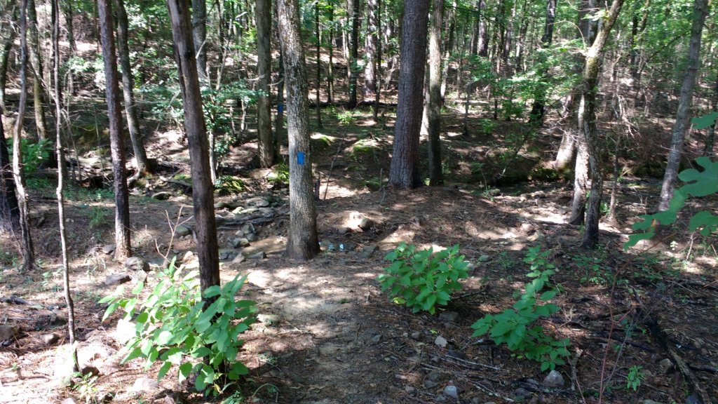 img_20170819_113643216.jpg