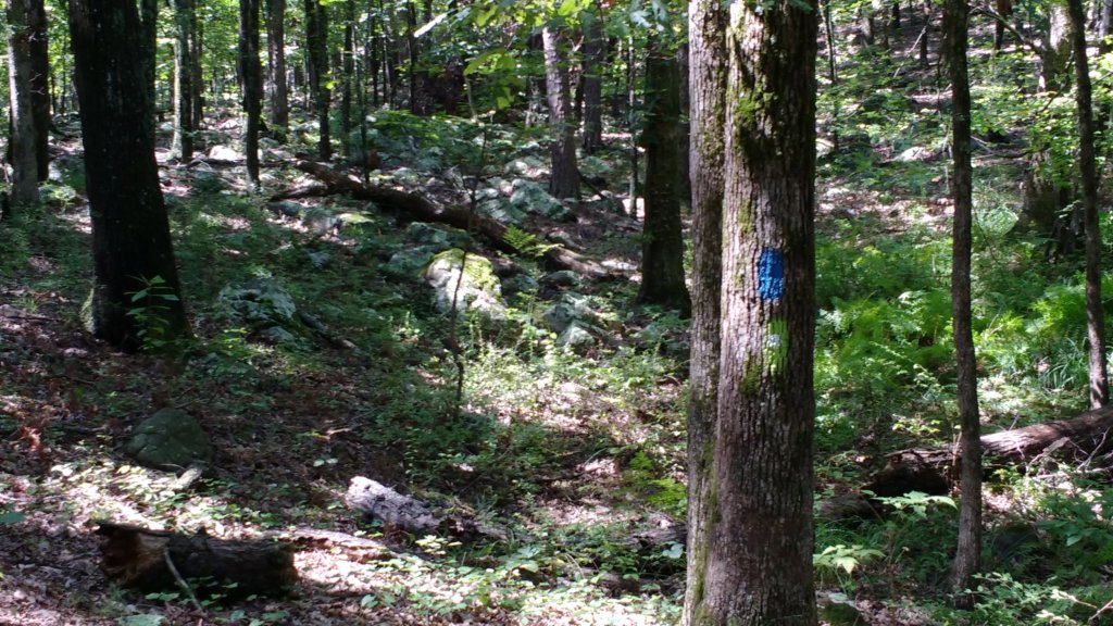img_20170819_114215262.jpg