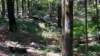 img_20170819_114215262_small.jpg