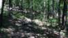 img_20170819_114254364_small.jpg