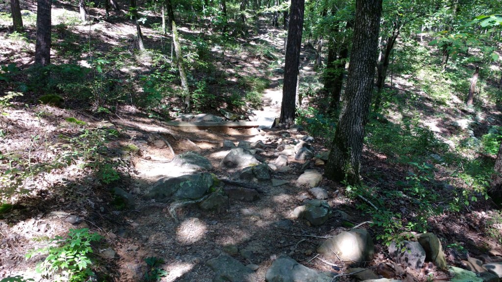 img_20170819_114950520.jpg