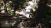 img_20170819_115004718_small.jpg