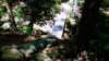 img_20170819_115004718effects_small.jpg