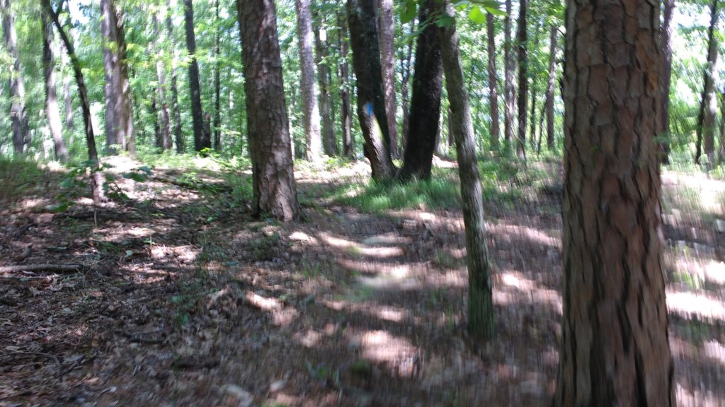 img_20170819_115515942.jpg