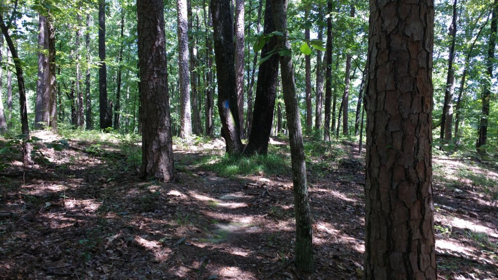 img_20170819_115518206.jpg
