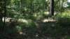 img_20170819_123302133_small.jpg