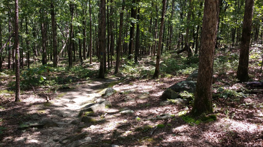 img_20170819_123849836.jpg