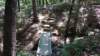 img_20170819_124215201_small.jpg