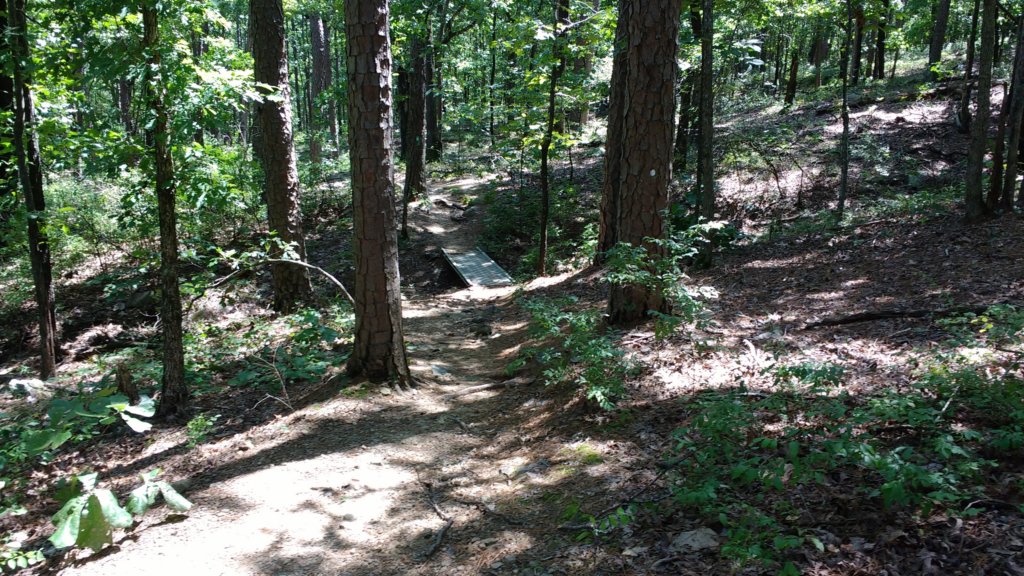 img_20170819_124250978.jpg