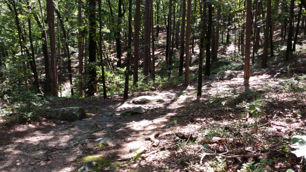 img_20170819_124746034.jpg