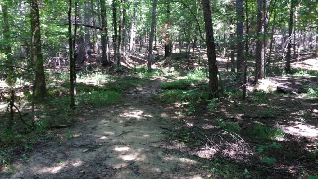 img_20170819_130046425.jpg