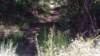 img_20170819_130257918_small.jpg