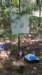 img_20170819_130353936_small.jpg