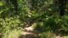img_20170819_130710157_small.jpg