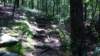 img_20170819_132900841_small.jpg