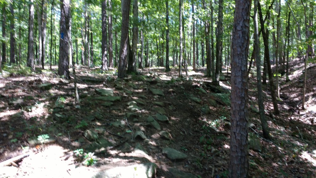 img_20170819_133024816.jpg