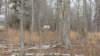 img_20180115_105645883_small.jpg