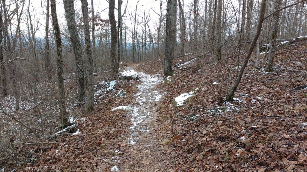 img_20180115_110243506.jpg