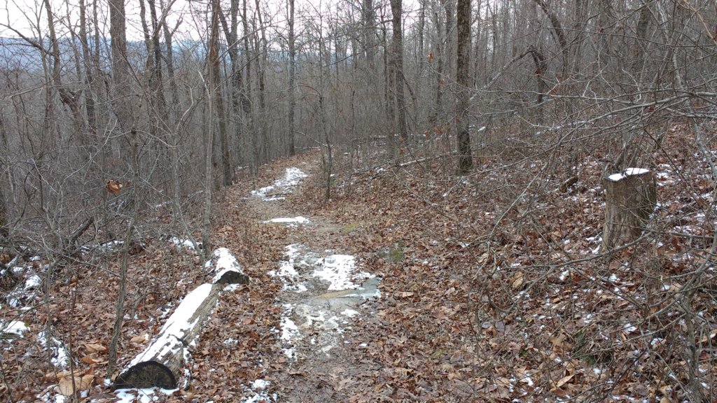 img_20180115_110813951.jpg