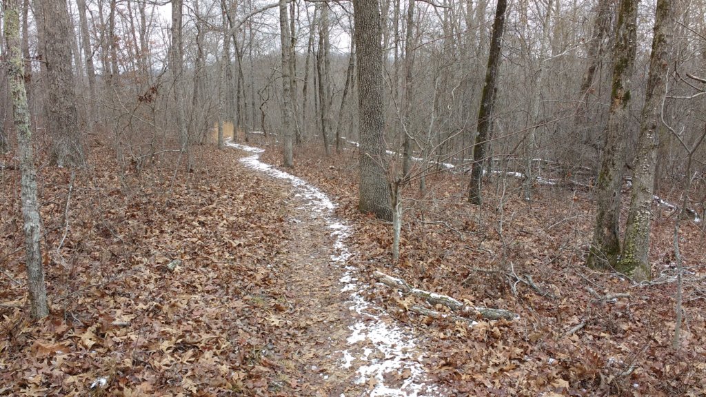 img_20180115_111245282.jpg