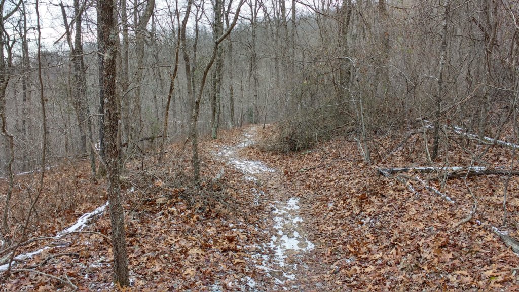 img_20180115_111338714_hdr.jpg