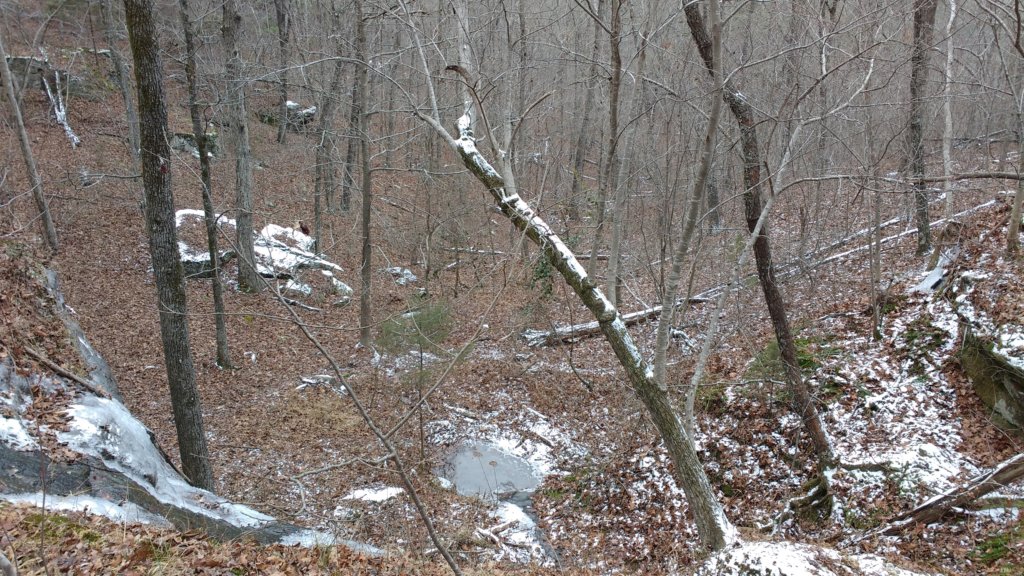 img_20180115_111555951.jpg