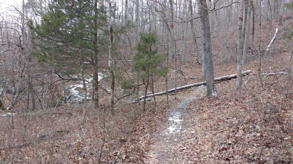 img_20180115_112407707.jpg