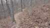 img_20180115_112726954_small.jpg