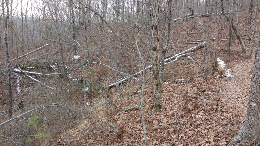 img_20180115_112741613.jpg