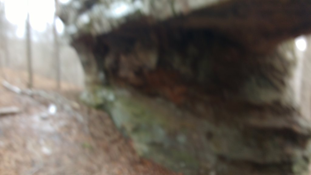 img_20180115_113102320.jpg