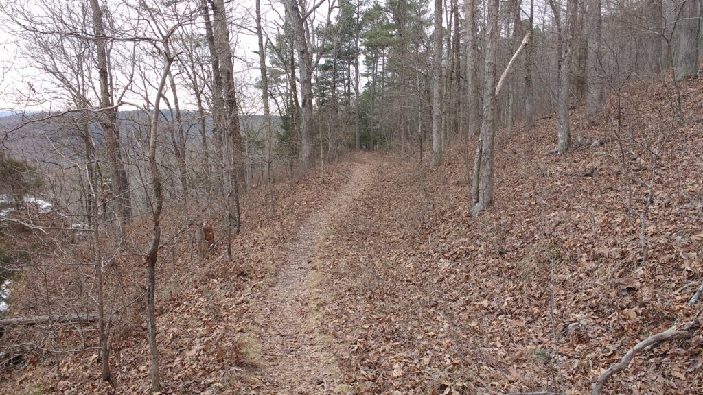 img_20180115_113441757.jpg