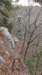 img_20180115_113831486_small.jpg