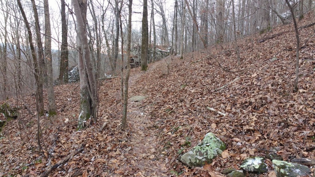 img_20180115_114129305.jpg