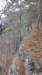 img_20180115_114727144_small.jpg