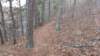 img_20180115_114906413_small.jpg