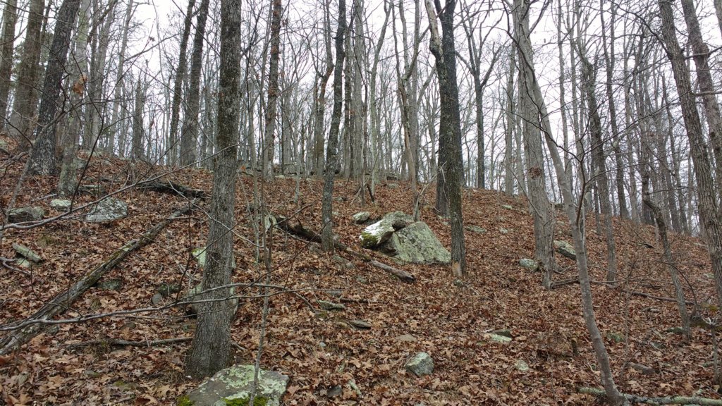 img_20180115_115038571.jpg