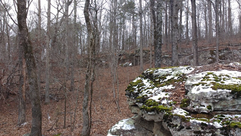 img_20180115_115326855.jpg