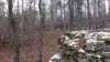 img_20180115_115326855_small.jpg